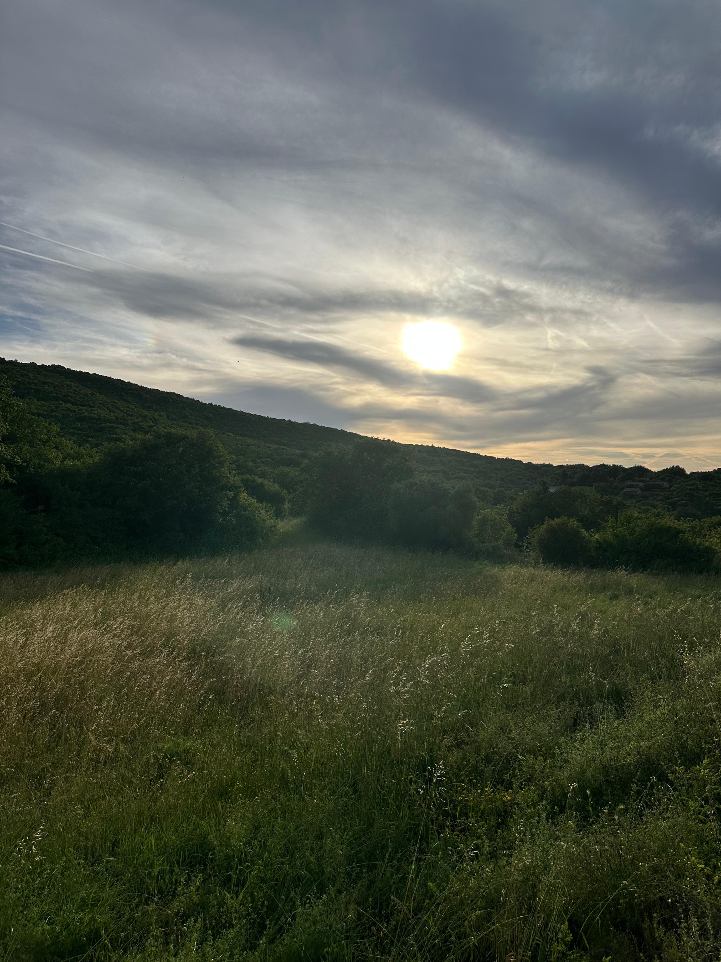 Land 358m²
