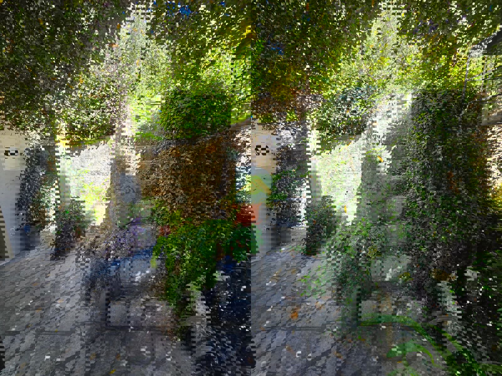 For Rent One Bedroom Apartment - Resim 16