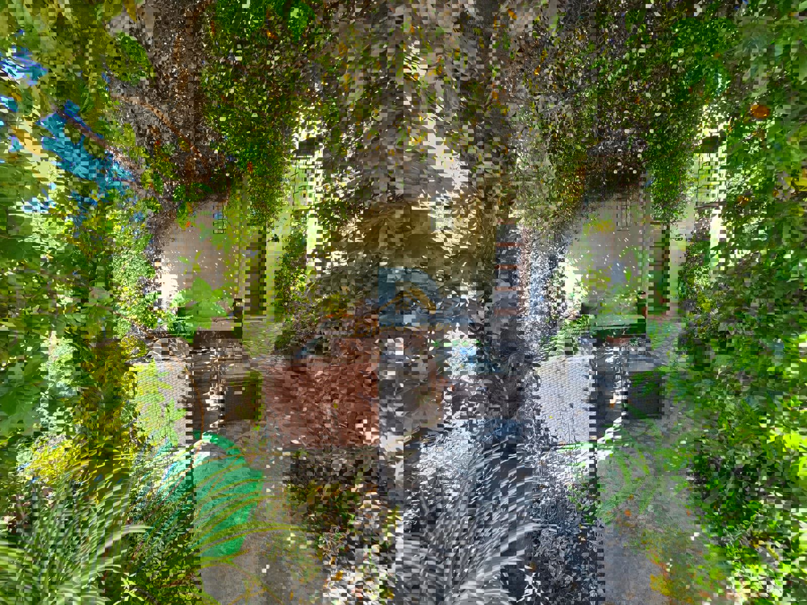 For Rent One Bedroom Apartment - Resim 18