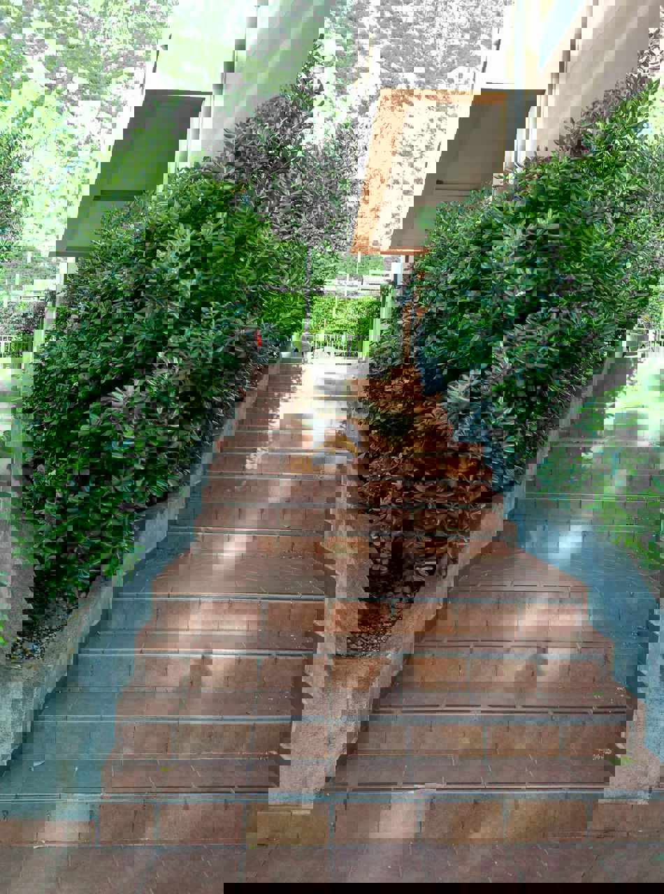 For Rent One Bedroom Apartment - Resim 18