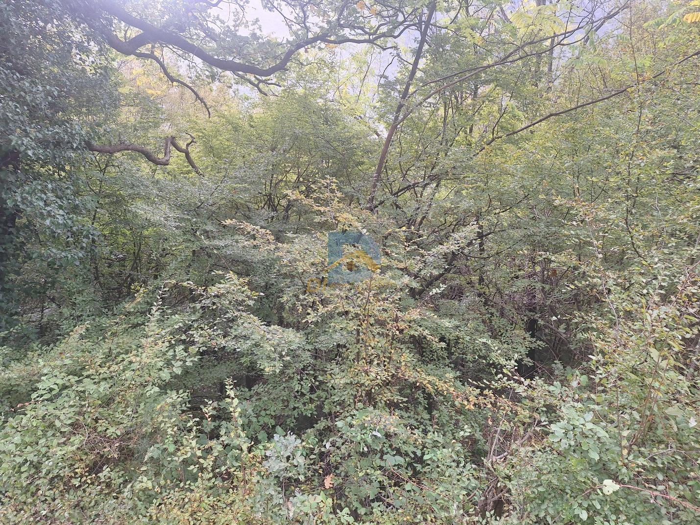 For Sale Land - Resim 3