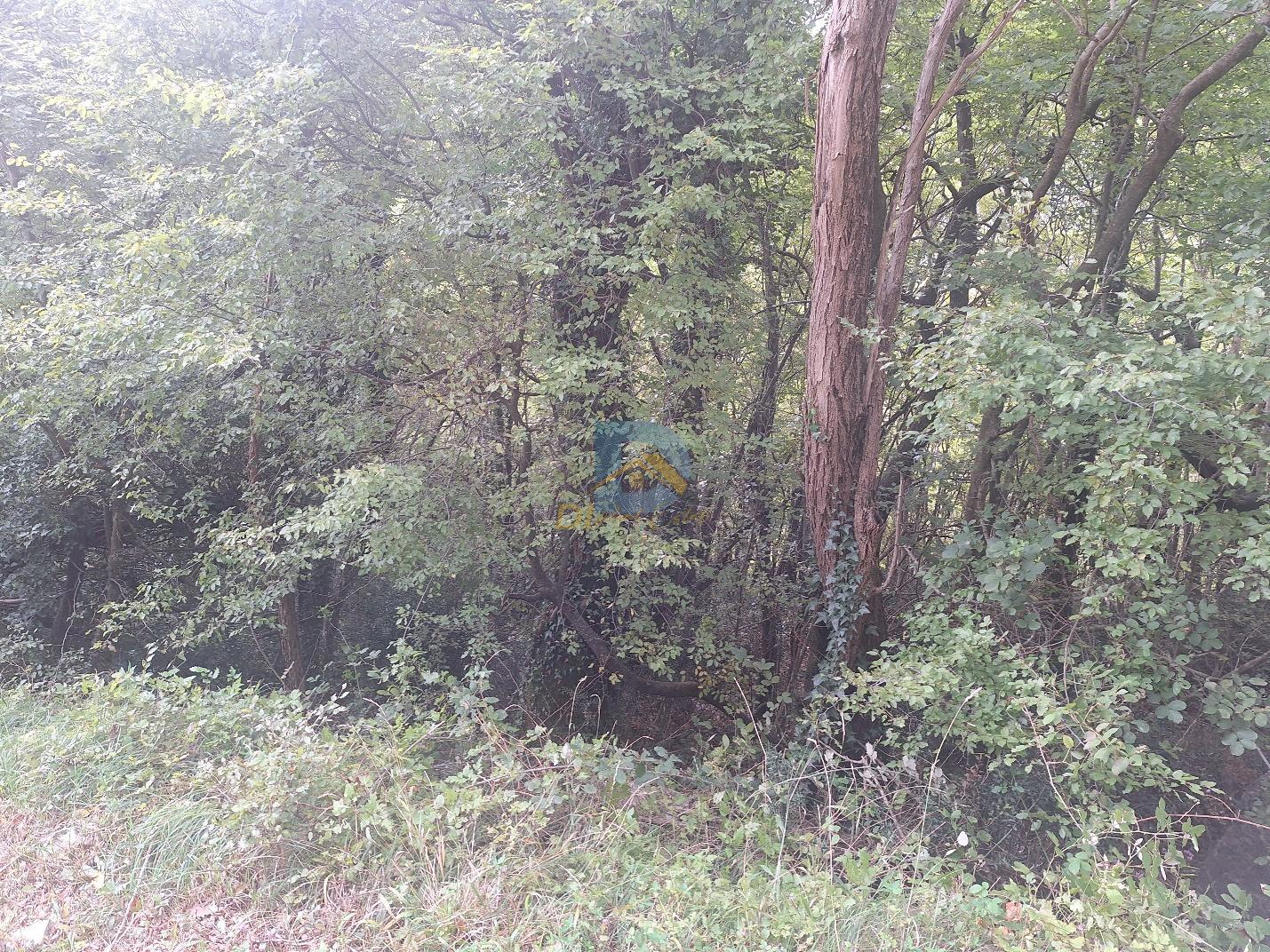 For Sale Land - Resim 4