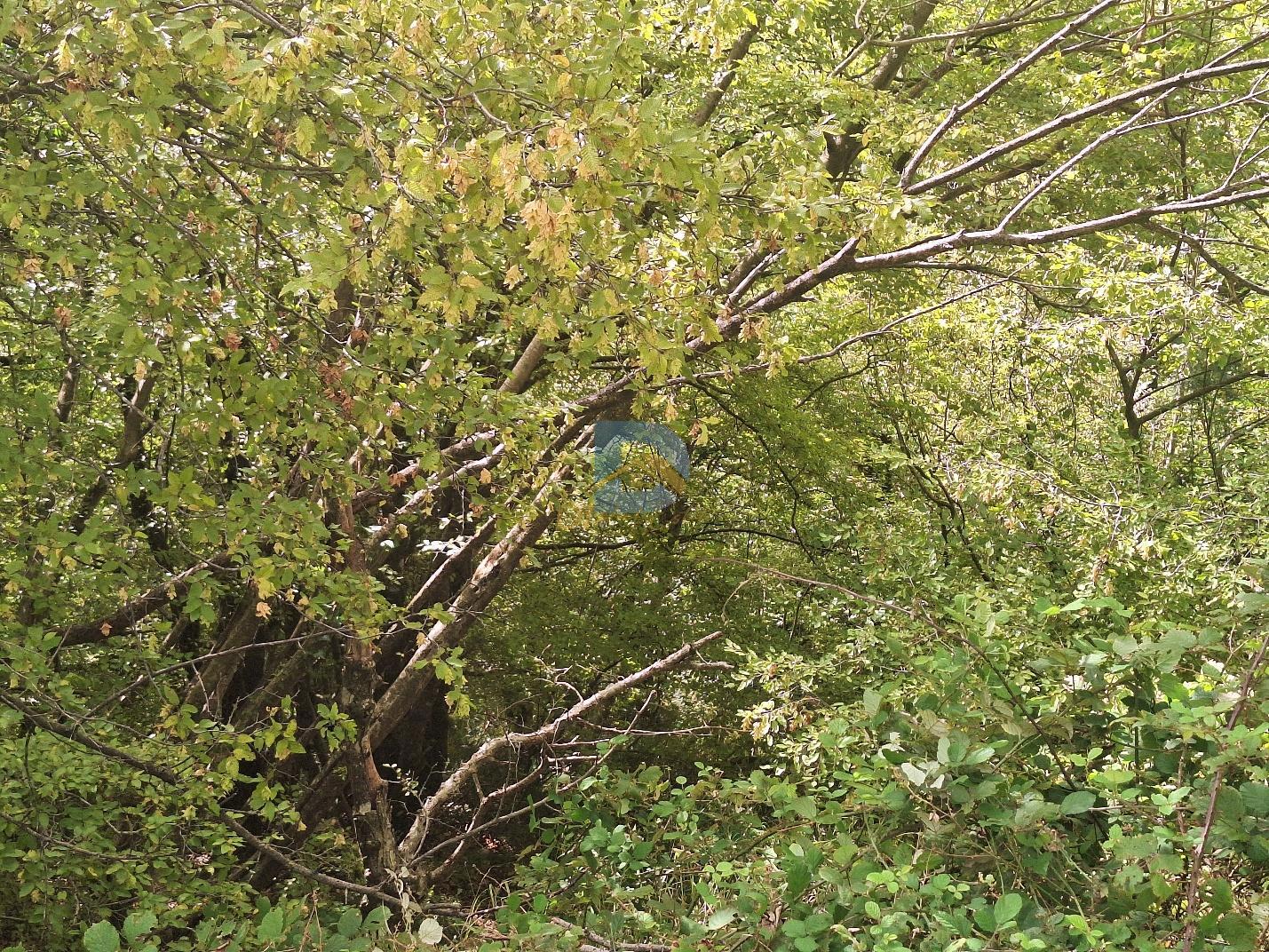 For Sale Land - Resim 6