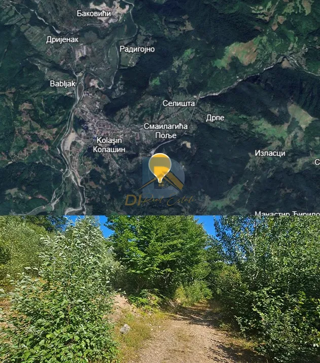 Terreno in vendita | Kolašin