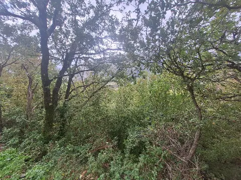 Satılık Arsa | Limljani, Bar